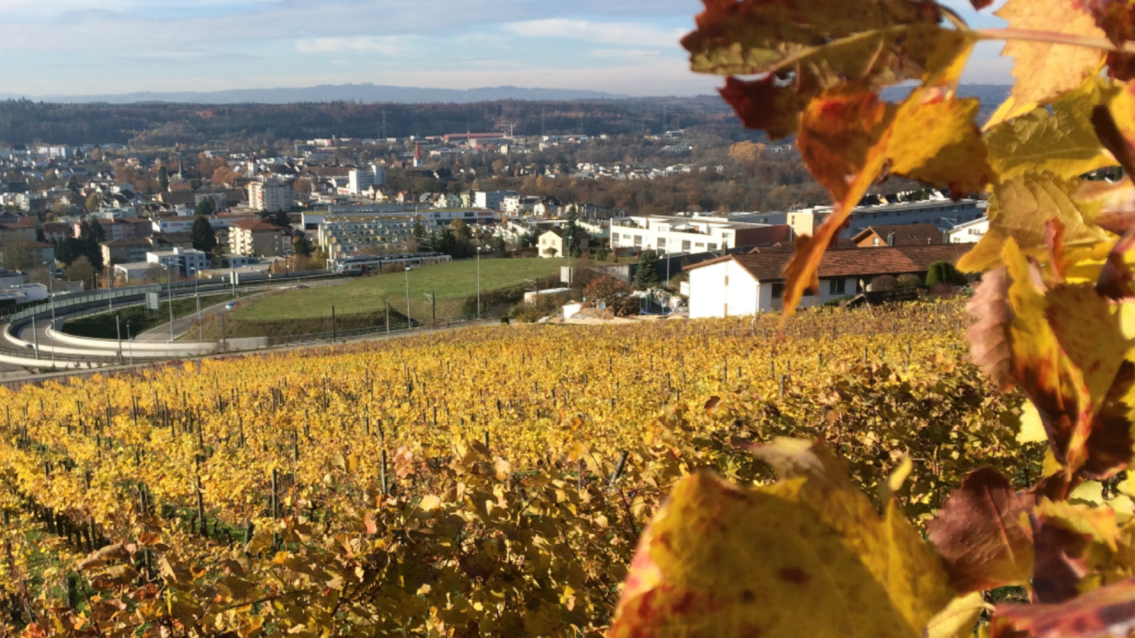 Stadtberg von Bremgarten