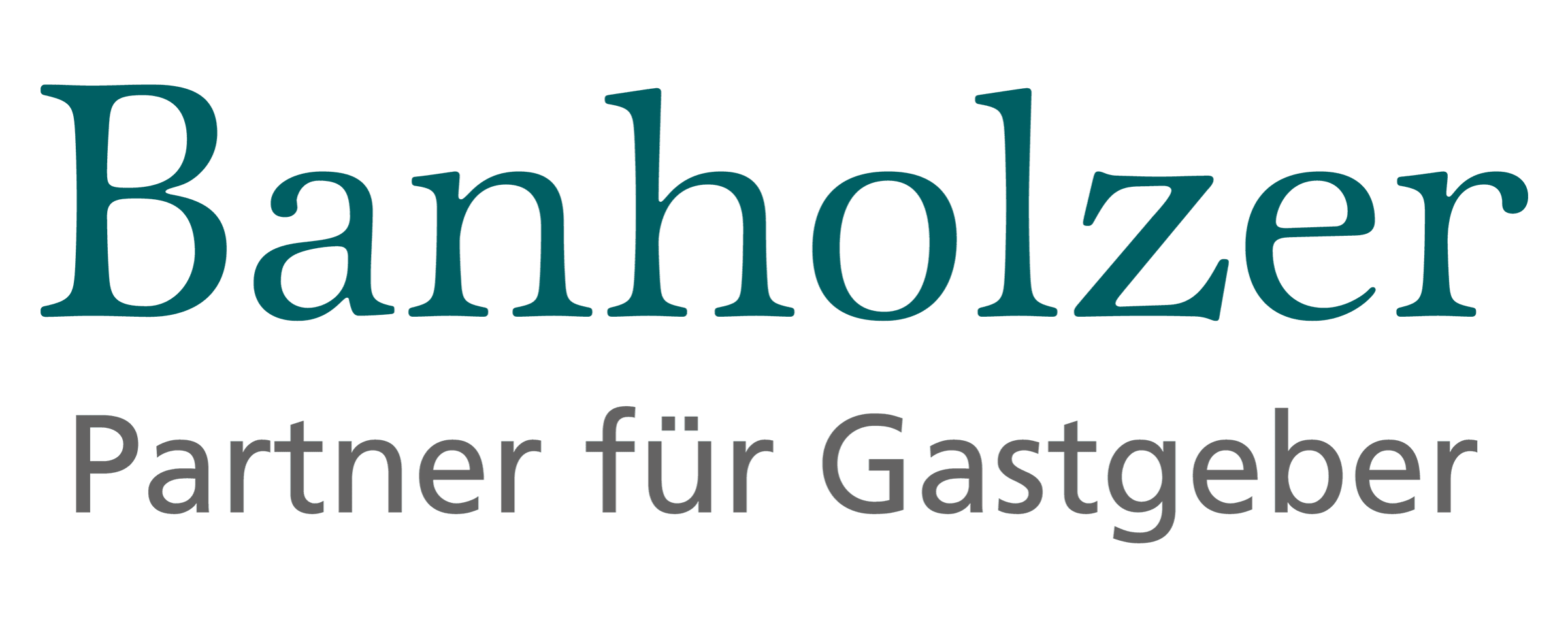 Banholzer AG