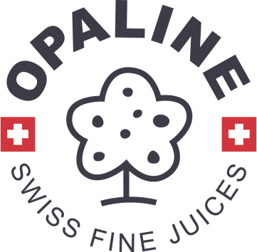 LOGO_Opaline_GREY_flagWhite.png (0 Mo)